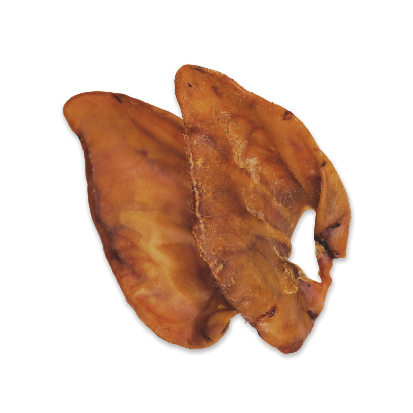 Oreja grande de cerdo